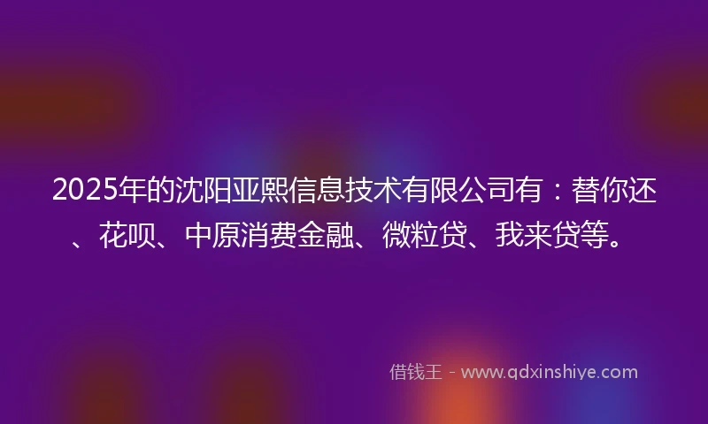2025年的沈阳亚熙信息技术有限公司有：替你还、花呗、中原消费金融、微粒贷、我来贷等。
