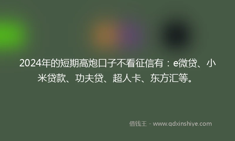 2024年的短期高炮口子不看征信有：e微贷、小米贷款、功夫贷、超人卡、东方汇等。