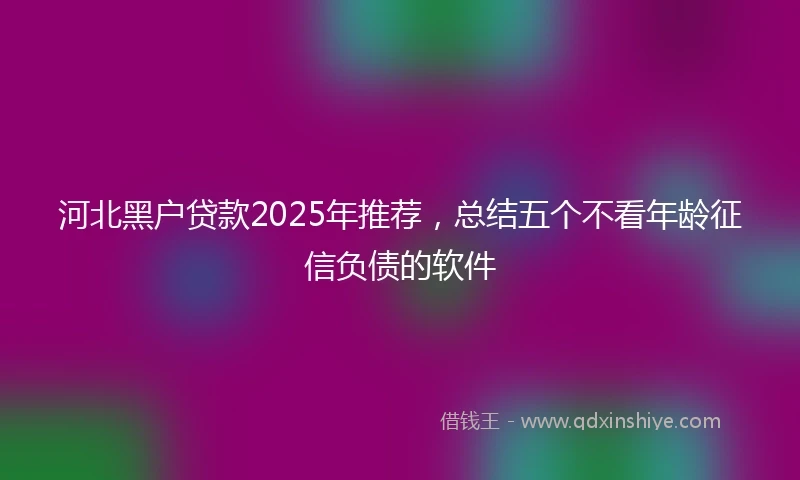 河北黑户贷款2025年推荐，总结五个不看年龄征信负债的软件
