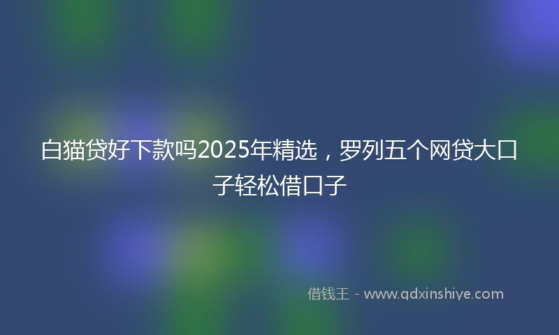 白猫贷好下款吗2025年精选，罗列五个网贷大口子轻松借口子