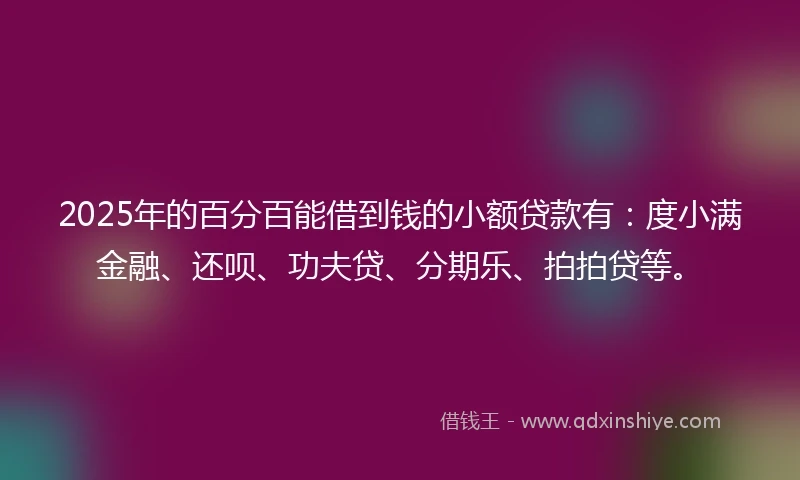 2025年的百分百能借到钱的小额贷款有：度小满金融、还呗、功夫贷、分期乐、拍拍贷等。