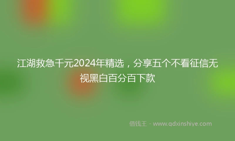 江湖救急千元2024年精选，分享五个不看征信无视黑白百分百下款