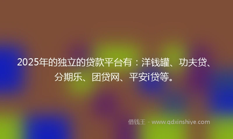 2025年的独立的贷款平台有：洋钱罐、功夫贷、分期乐、团贷网、平安i贷等。