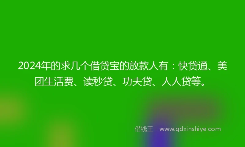 2024年的求几个借贷宝的放款人有：快贷通、美团生活费、读秒贷、功夫贷、人人贷等。
