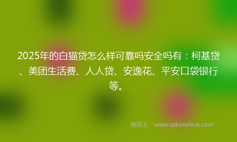 2025年的白猫贷怎么样可靠吗安全吗有：柯基贷、美团生活费、人人贷、安逸花、平安口袋银行等。
