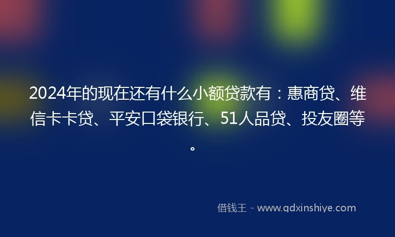 2024年的现在还有什么小额贷款有：惠商贷、维信卡卡贷、平安口袋银行、51人品贷、投友圈等。