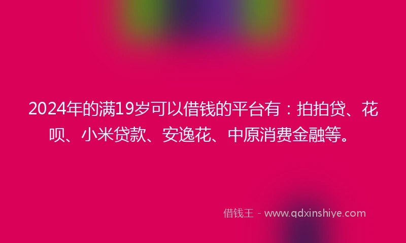 2024年的满19岁可以借钱的平台有：拍拍贷、花呗、小米贷款、安逸花、中原消费金融等。