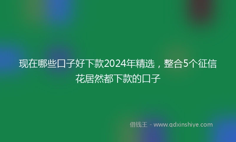 现在哪些口子好下款2024年精选，整合5个征信花居然都下款的口子