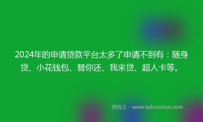 2024年的申请贷款平台太多了申请不到有：随身贷、小花钱包、替你还、我来贷、超人卡等。