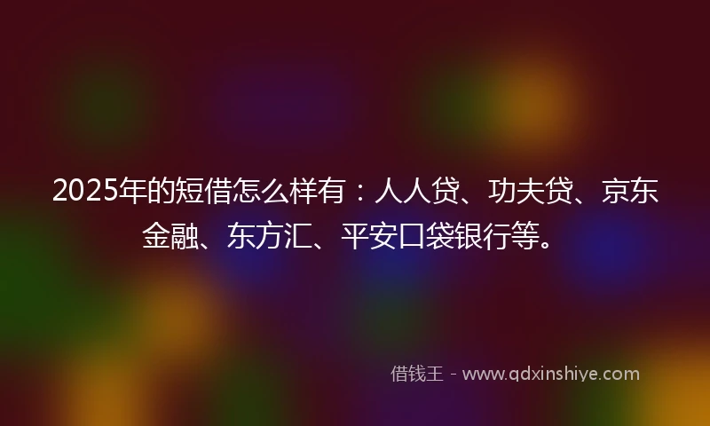 2025年的短借怎么样有：人人贷、功夫贷、京东金融、东方汇、平安口袋银行等。
