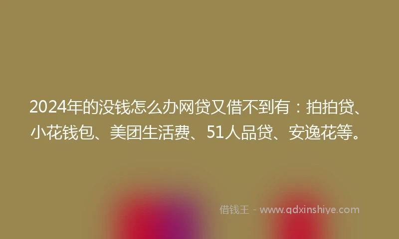 2024年的没钱怎么办网贷又借不到有：拍拍贷、小花钱包、美团生活费、51人品贷、安逸花等。