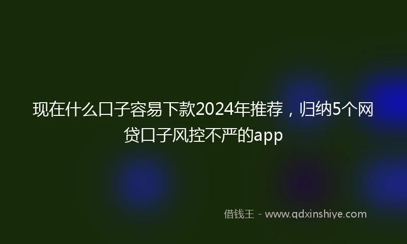 现在什么口子容易下款2024年推荐，归纳5个网贷口子风控不严的app