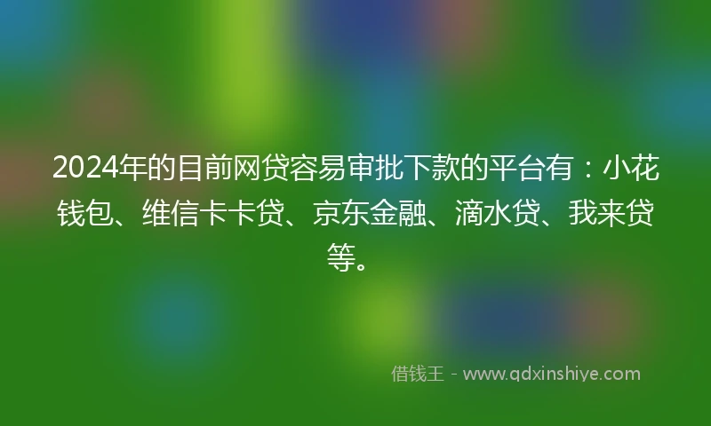 2024年的目前网贷容易审批下款的平台有：小花钱包、维信卡卡贷、京东金融、滴水贷、我来贷等。