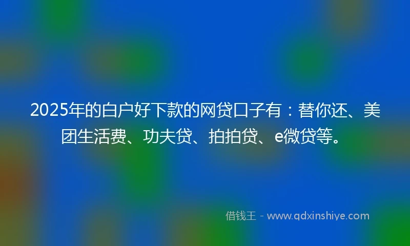 2025年的白户好下款的网贷口子有：替你还、美团生活费、功夫贷、拍拍贷、e微贷等。