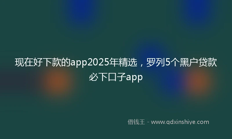 现在好下款的app2025年精选，罗列5个黑户贷款必下口子app