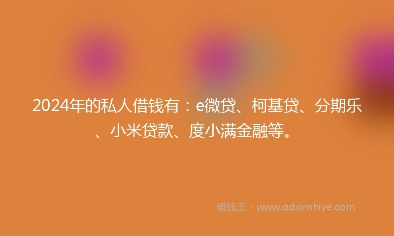 2024年的私人借钱有：e微贷、柯基贷、分期乐、小米贷款、度小满金融等。
