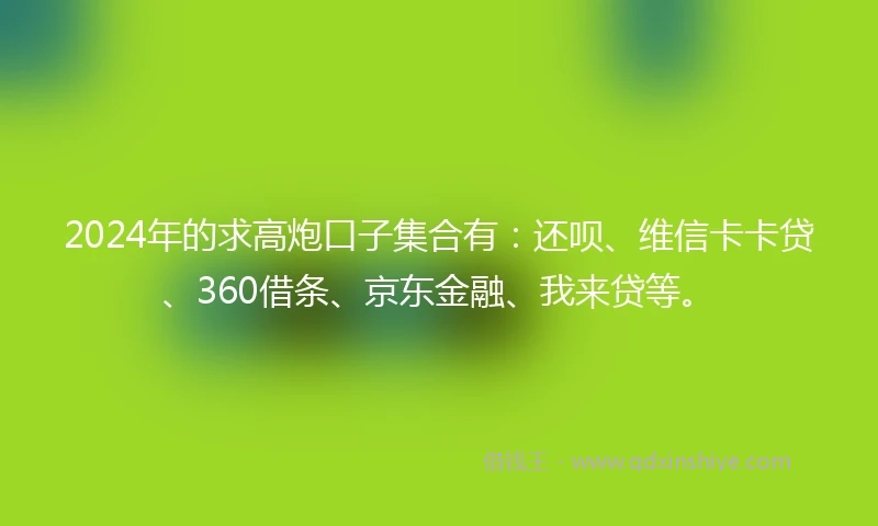 2024年的求高炮口子集合有：还呗、维信卡卡贷、360借条、京东金融、我来贷等。
