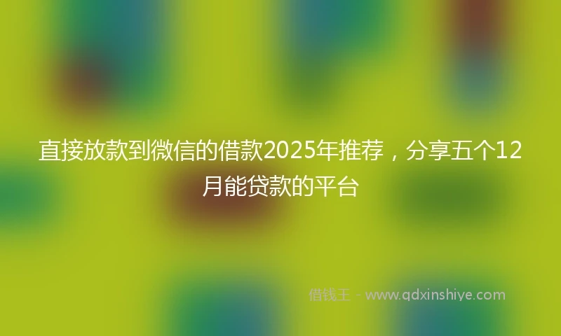 直接放款到微信的借款2025年推荐，分享五个12月能贷款的平台