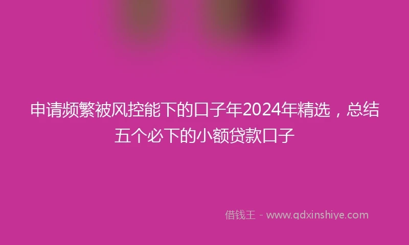 申请频繁被风控能下的口子年2024年精选，总结五个必下的小额贷款口子