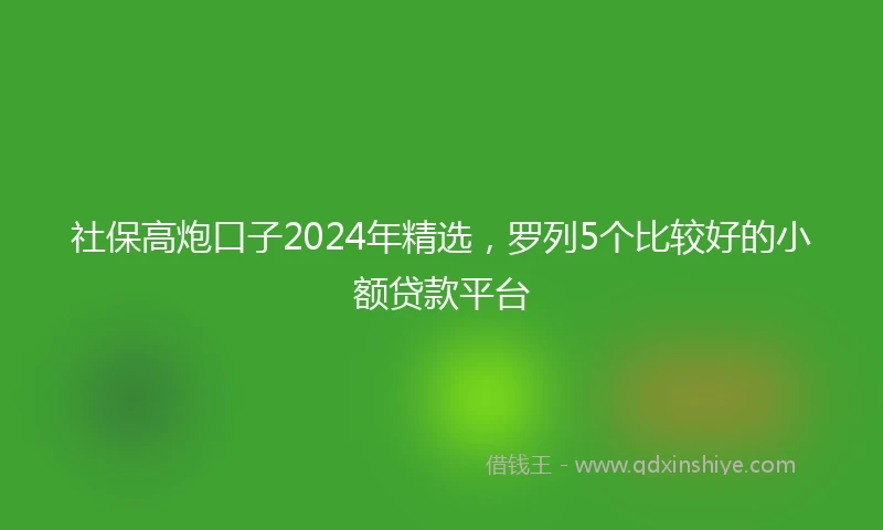 社保高炮口子2024年精选，罗列5个比较好的小额贷款平台