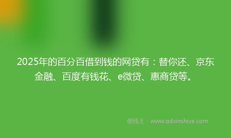 2025年的百分百借到钱的网贷有：替你还、京东金融、百度有钱花、e微贷、惠商贷等。