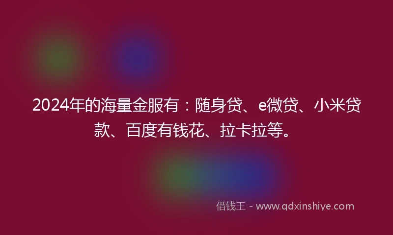 2024年的海量金服有：随身贷、e微贷、小米贷款、百度有钱花、拉卡拉等。