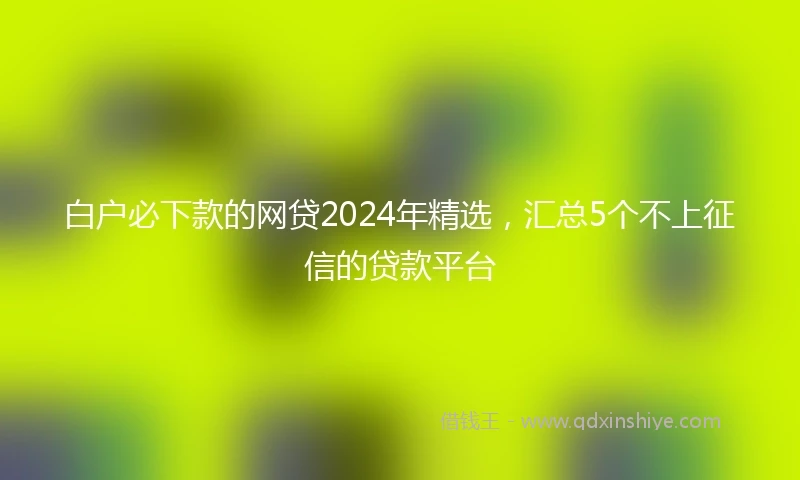 白户必下款的网贷2024年精选，汇总5个不上征信的贷款平台