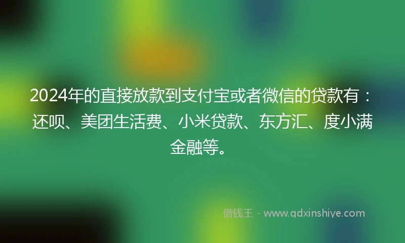 2024年的直接放款到支付宝或者微信的贷款有：还呗、美团生活费、小米贷款、东方汇、度小满金融等。