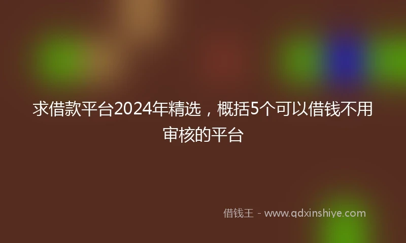 求借款平台2024年精选，概括5个可以借钱不用审核的平台
