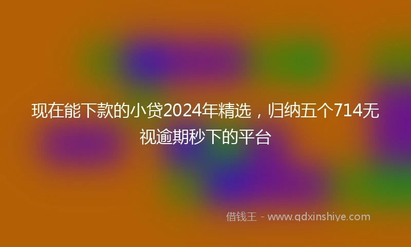 现在能下款的小贷2024年精选，归纳五个714无视逾期秒下的平台