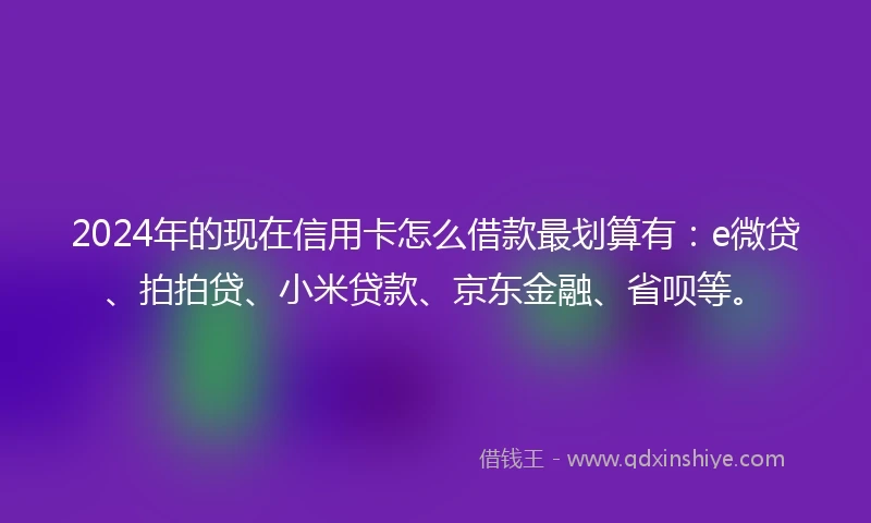 2024年的现在信用卡怎么借款最划算有：e微贷、拍拍贷、小米贷款、京东金融、省呗等。