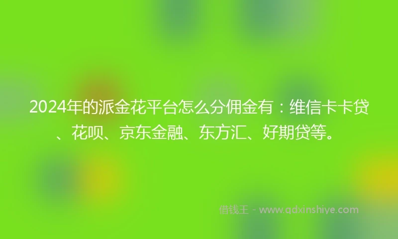 2024年的派金花平台怎么分佣金有：维信卡卡贷、花呗、京东金融、东方汇、好期贷等。