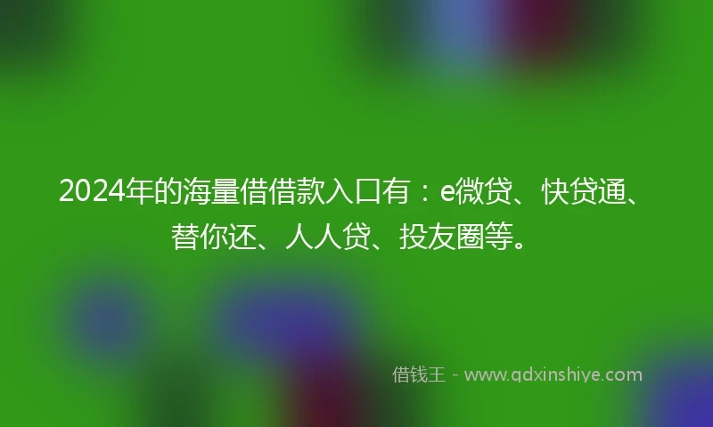 2024年的海量借借款入口有：e微贷、快贷通、替你还、人人贷、投友圈等。