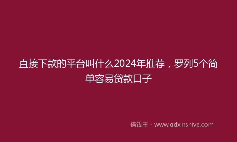 直接下款的平台叫什么2024年推荐，罗列5个简单容易贷款口子