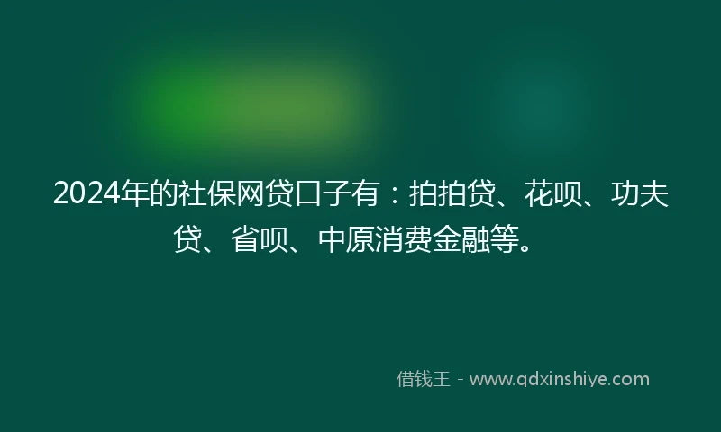 2024年的社保网贷口子有：拍拍贷、花呗、功夫贷、省呗、中原消费金融等。
