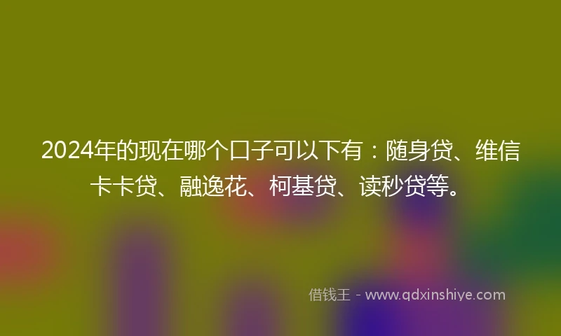 2024年的现在哪个口子可以下有：随身贷、维信卡卡贷、融逸花、柯基贷、读秒贷等。