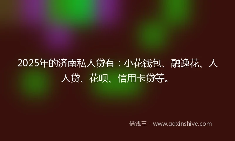 2025年的济南私人贷有：小花钱包、融逸花、人人贷、花呗、信用卡贷等。