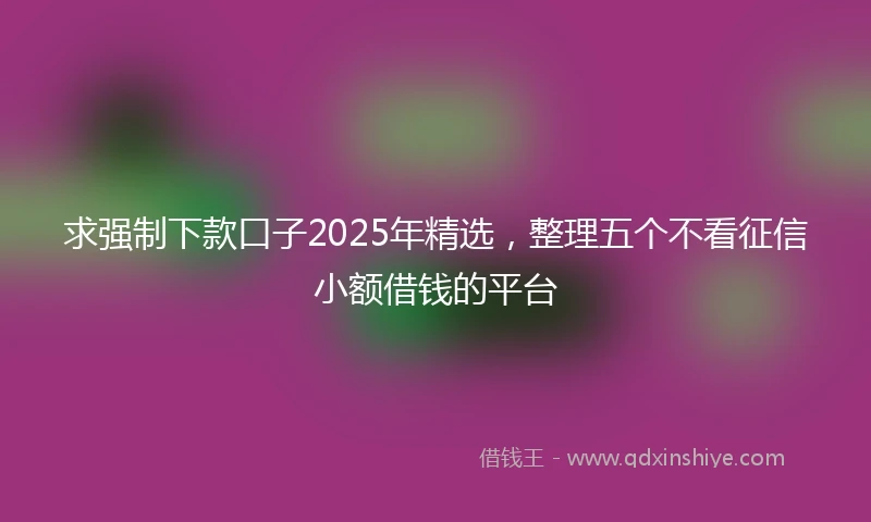求强制下款口子2025年精选,整理五个不看征信小额借钱的平台