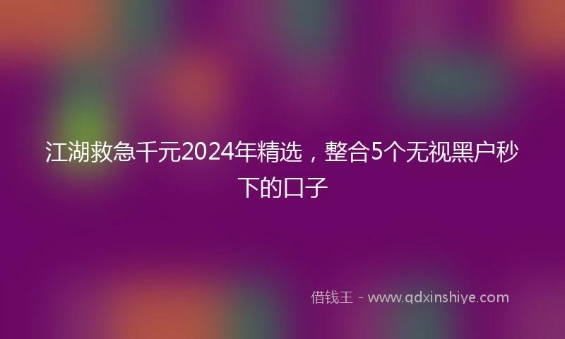江湖救急千元2024年精选，整合5个无视黑户秒下的口子