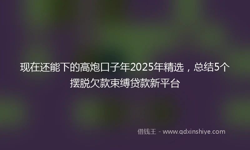现在还能下的高炮口子年2025年精选，总结5个摆脱欠款束缚贷款新平台