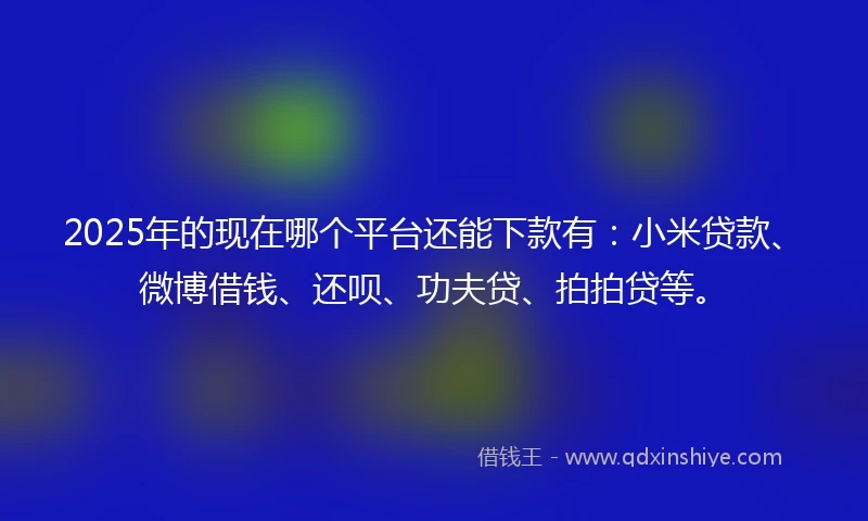 2025年的现在哪个平台还能下款有：小米贷款、微博借钱、还呗、功夫贷、拍拍贷等。