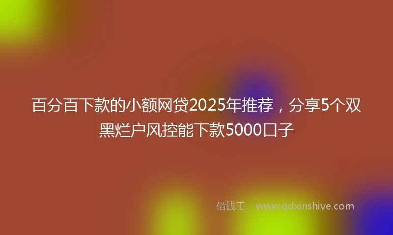 百分百下款的小额网贷2025年推荐，分享5个双黑烂户风控能下款5000口子