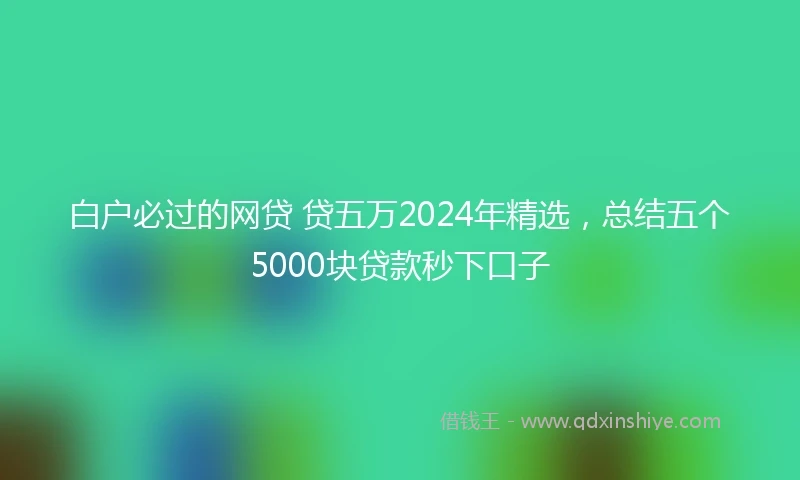 白户必过的网贷 贷五万2024年精选，总结五个5000块贷款秒下口子