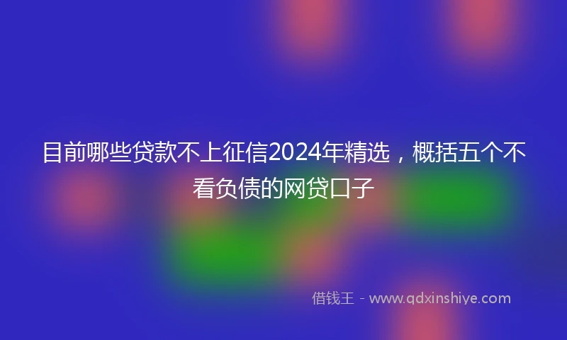 目前哪些贷款不上征信2024年精选，概括五个不看负债的网贷口子