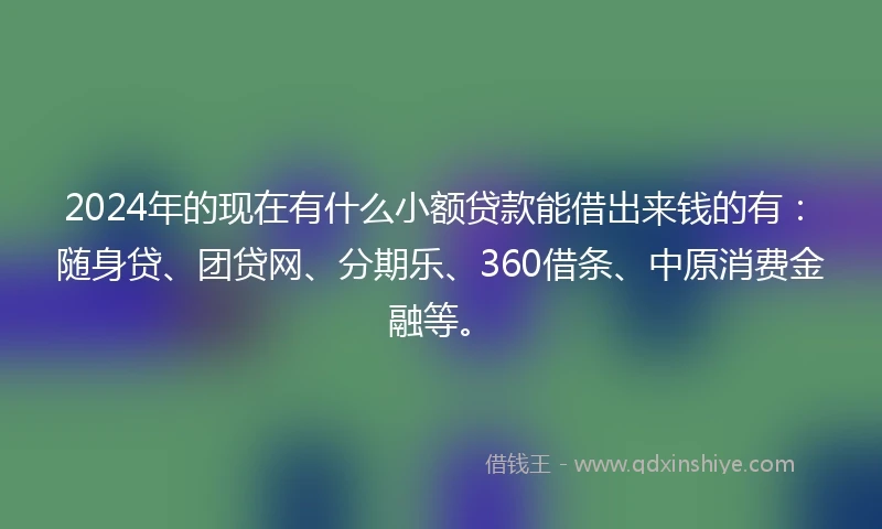 2024年的现在有什么小额贷款能借出来钱的有：随身贷、团贷网、分期乐、360借条、中原消费金融等。