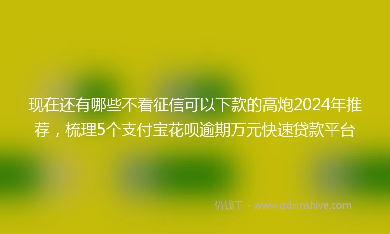 现在还有哪些不看征信可以下款的高炮2024年推荐，梳理5个支付宝花呗逾期万元快速贷款平台