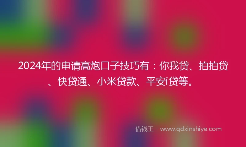 2024年的申请高炮口子技巧有：你我贷、拍拍贷、快贷通、小米贷款、平安i贷等。