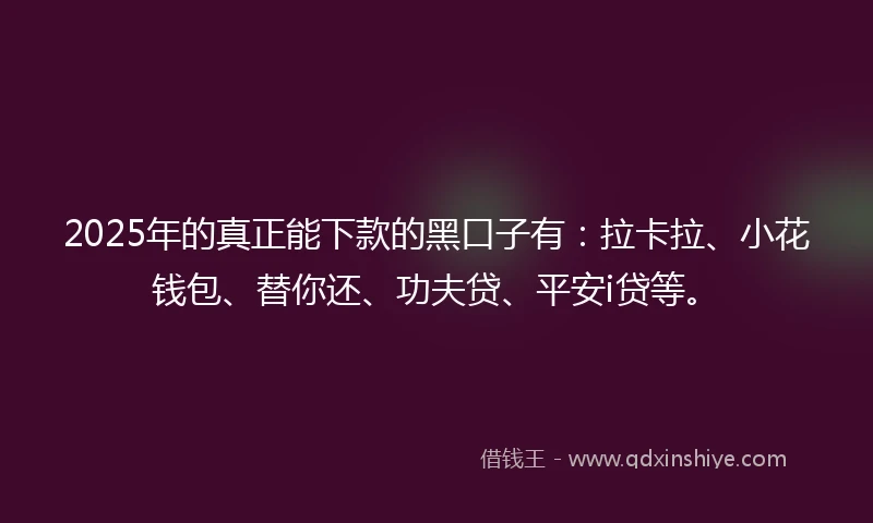 2025年的真正能下款的黑口子有：拉卡拉、小花钱包、替你还、功夫贷、平安i贷等。