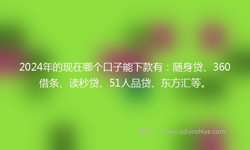 2024年的现在哪个口子能下款有:随身贷、360借条、读秒贷、51人品贷、东方汇等。