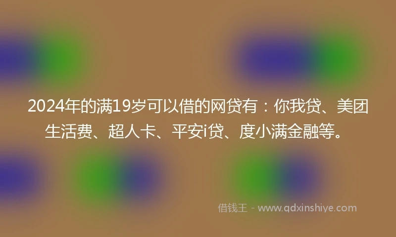 2024年的满19岁可以借的网贷有：你我贷、美团生活费、超人卡、平安i贷、度小满金融等。